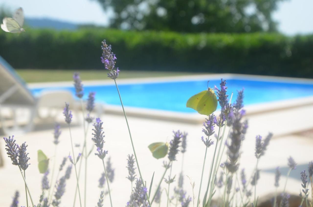 Villa Fragola - Holiday House With Large Garden Tinjan Exterior foto